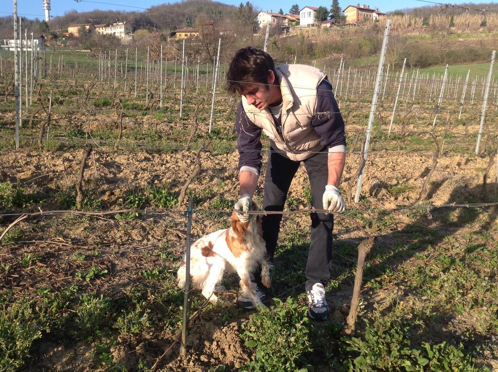Azienda Agricola Garoglio Davide Alfiano Natta Ngoại thất bức ảnh